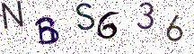 NBS636