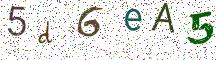 5d6eA5