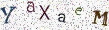 YaXaeM