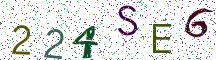 224SE6