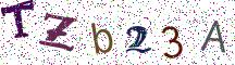 TZb23A