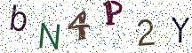 bN4P2Y