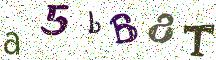 a5bB8T