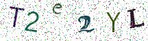 T2e2YL
