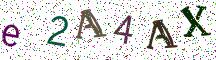 e2A4AX