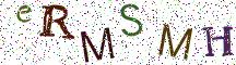 eRMSMH
