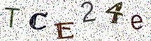 TCE24e