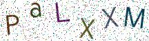 PaLXXM