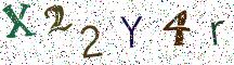 X22Y4r