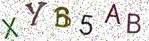 XYB5AB