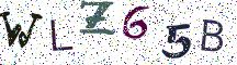 WLZ65B