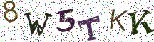 8W5TKK
