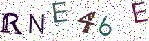 RNE46E