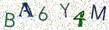 BA6Y4M