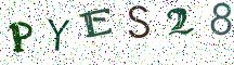 PYES28