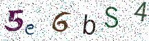 5e6bS4