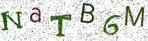 NaTB6M