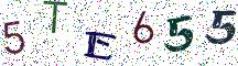 5TE655