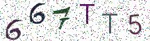 667TT5