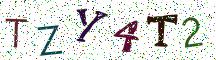 TZY4T2
