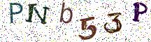 PNb53P