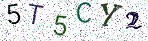 5T5CY2