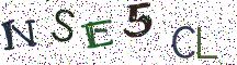 NSE5CL