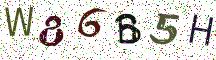 W86B5H