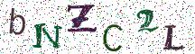 bNZC2L