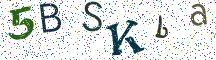 5BSKba