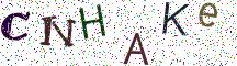CNHAKe