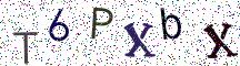 T6PXbX