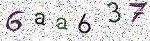 6aa637