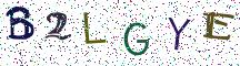 B2LGYE