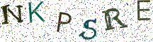 NKPSRE