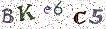 BKe6C5