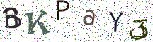 BKPaY3