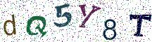 dQ5Y8T