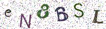 eN8BSL