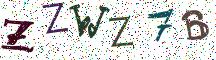 ZZWZ7B
