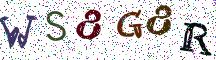 WS8G8R