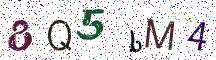 8Q5bM4