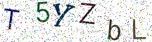 T5YZbL