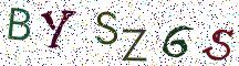 BYSZ6S