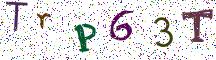 TrP63T