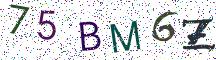 75BM6Z