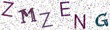 ZMZENG