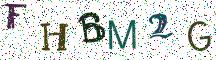 FHBM2G