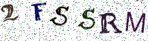 2FSSRM