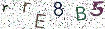 rrE8B5